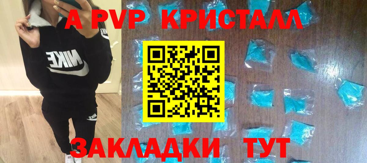 Альфа ПВП СК Балтийск
