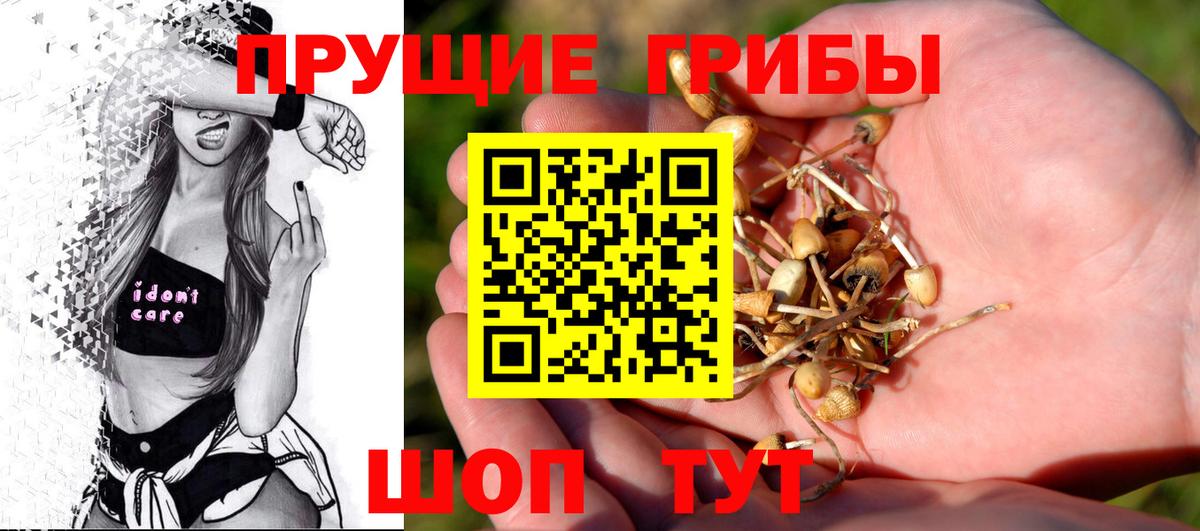 Балтийск  Псилоцибиновые грибы Magic Shrooms  Вход с VPN 